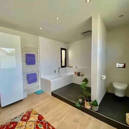 Maison D Architecte Bruges/piscine Chauffee/tram D * Bruges